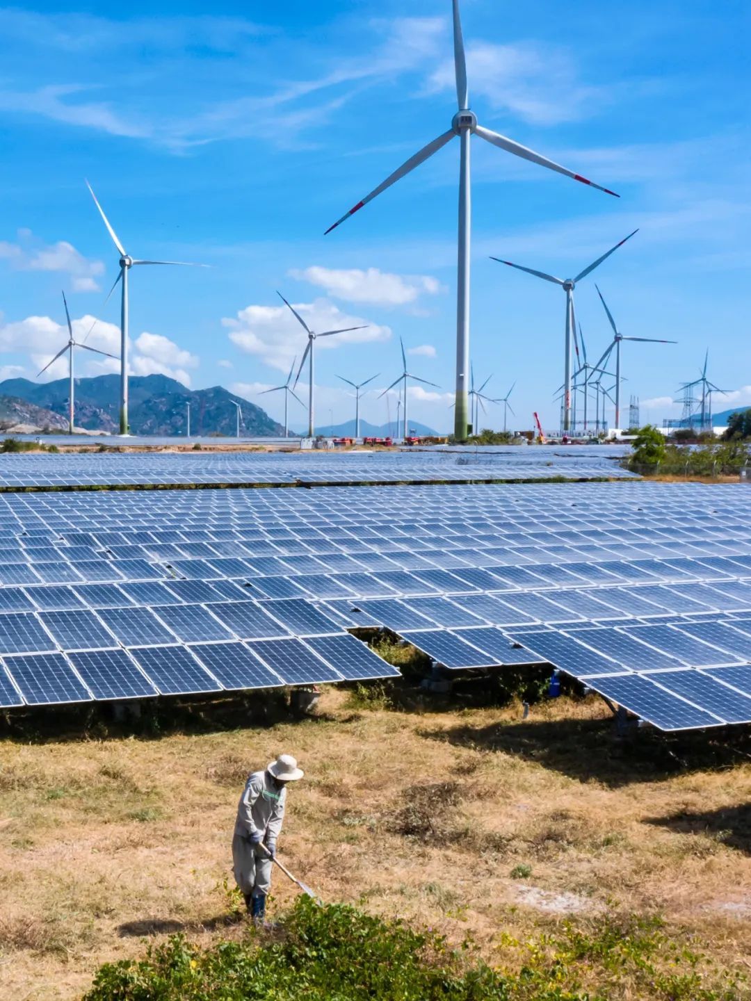充分展示了其技术实力与市场竞争力