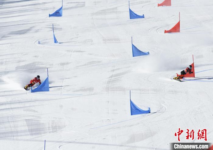 十四冬单板滑雪平行大回转收官 四枚金牌揭晓